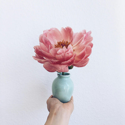 Give Beauty: Why Vases Make Thoughtful, Lasting Gifts